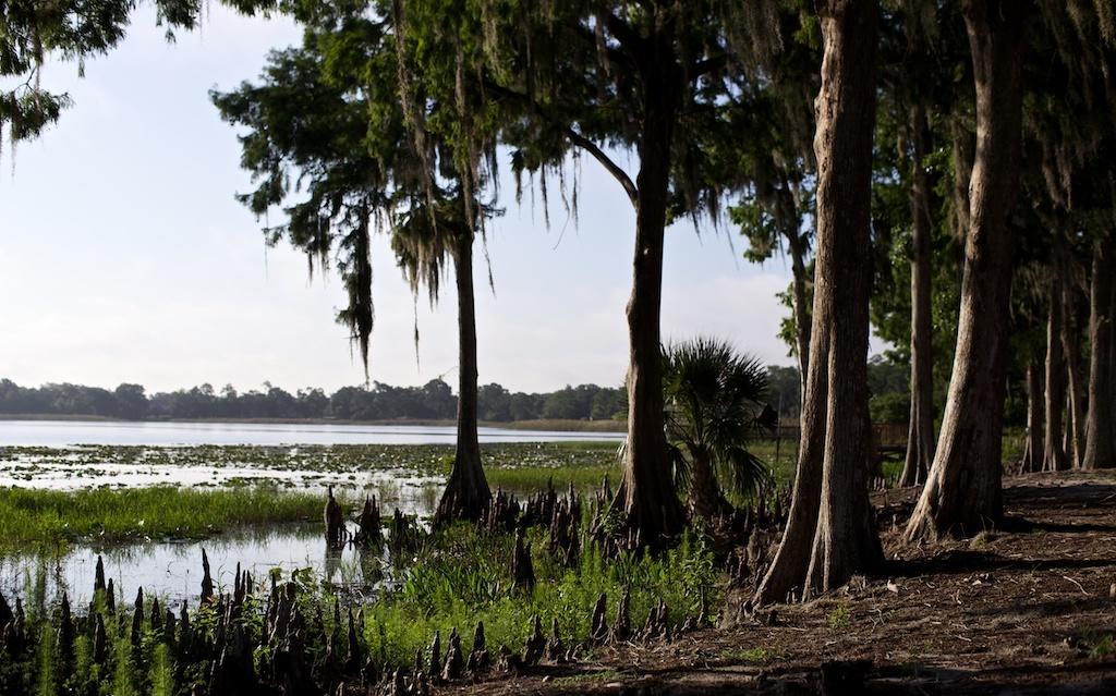Star Island Resort And Club - Near Disney Kissimmee Zewnętrze zdjęcie